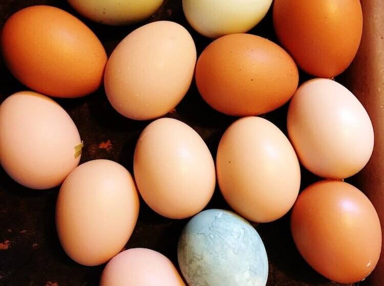 ベッドアンドブレックファースト Arrowhead Country Cabins