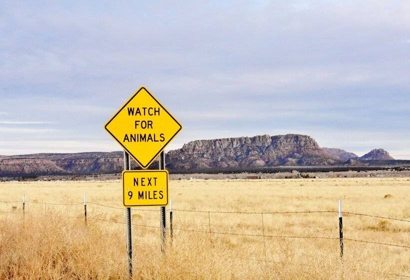 ベッドアンドブレックファースト Arrowhead Country Cabins