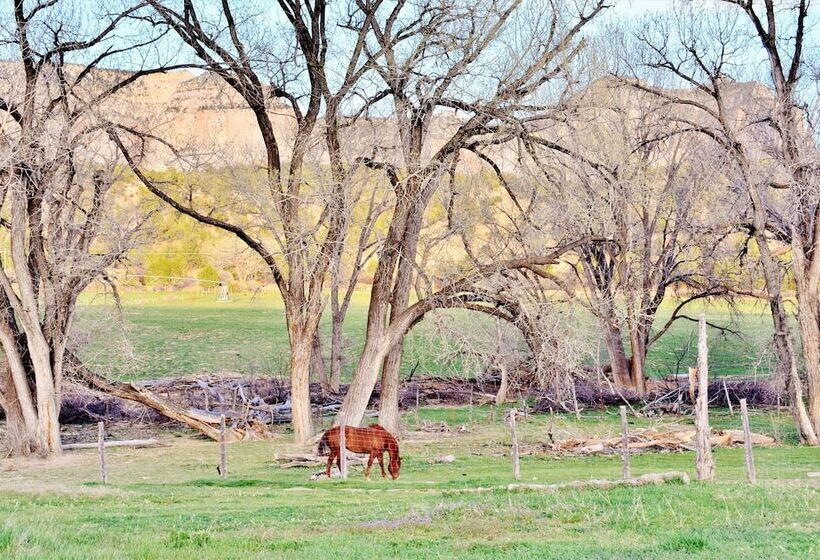 ベッドアンドブレックファースト Arrowhead Country Cabins