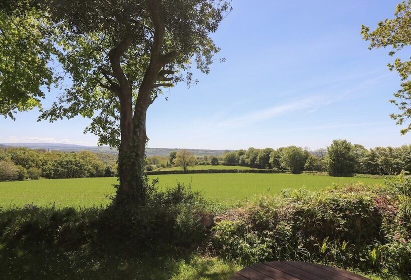 Dartmoor 2