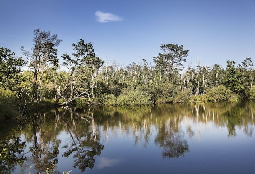 Dünenmeer Ferienhäuser