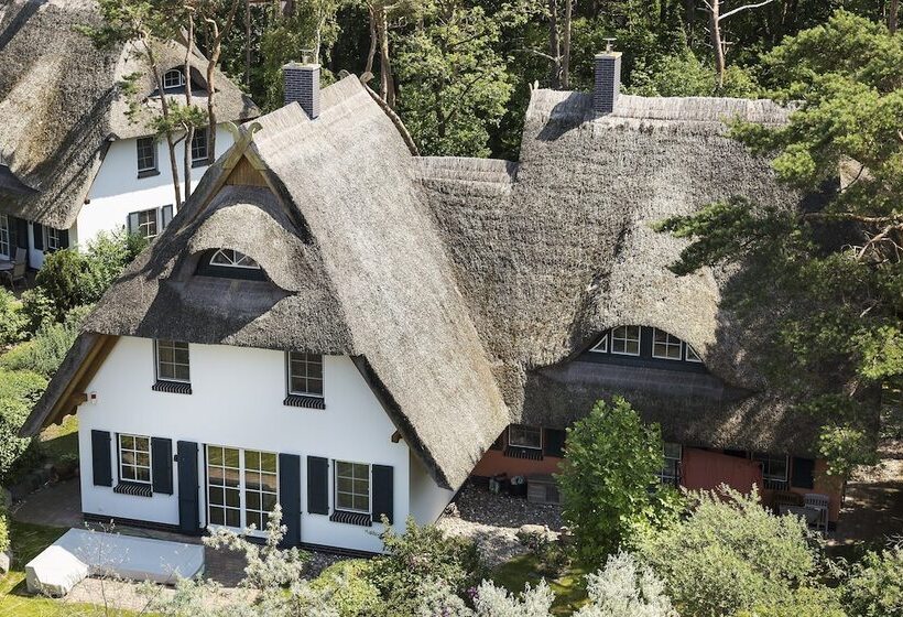 Dünenmeer Ferienhäuser