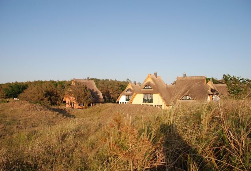 Dünenmeer Ferienhäuser