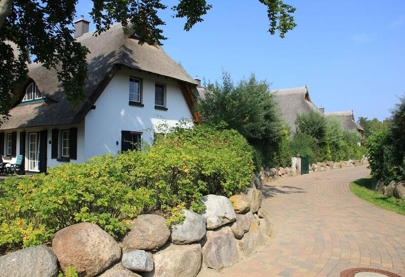 Dünenmeer Ferienhäuser