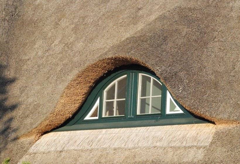 Dünenmeer Ferienhäuser