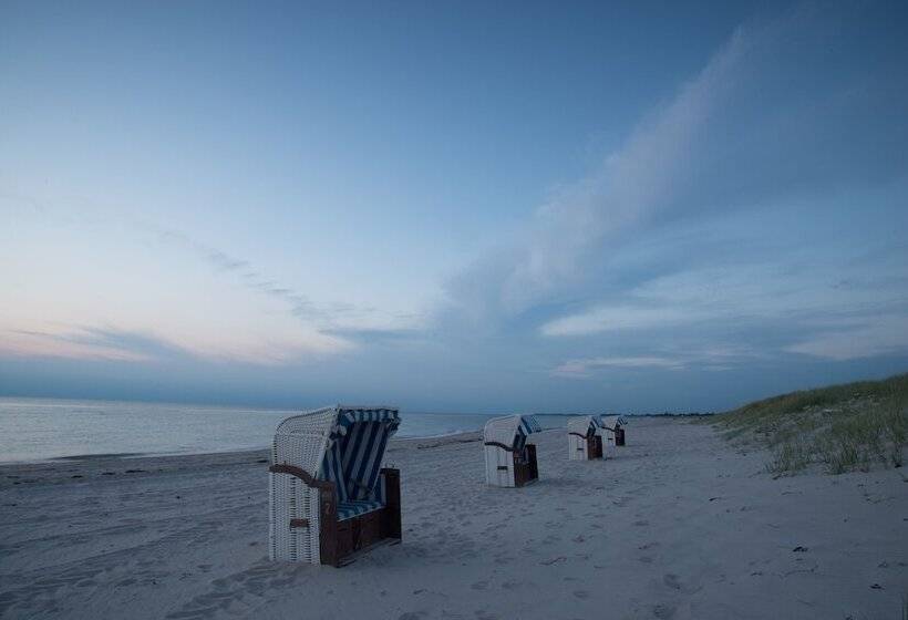 Dünenmeer Ferienhäuser