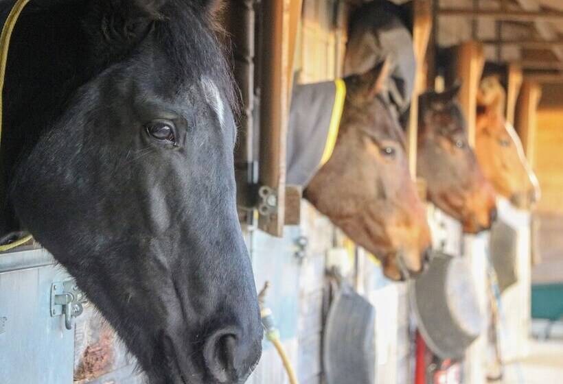 Hanging Hill Farm Cottage