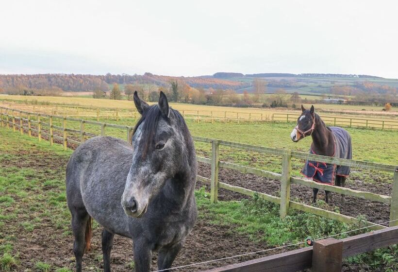 Hanging Hill Farm Cottage