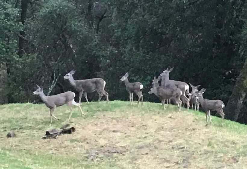 Hillside Cottage Retreat