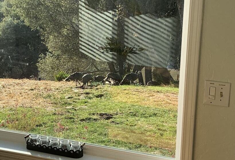 Hillside Cottage Retreat