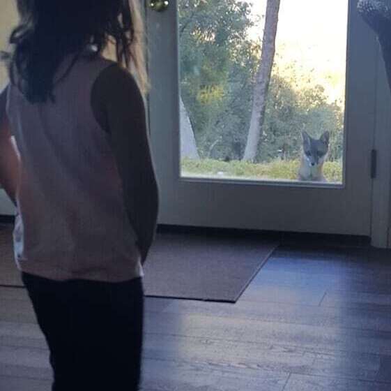 Hillside Cottage Retreat