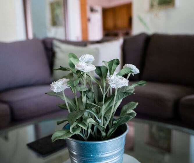 Hillside Cottage Retreat