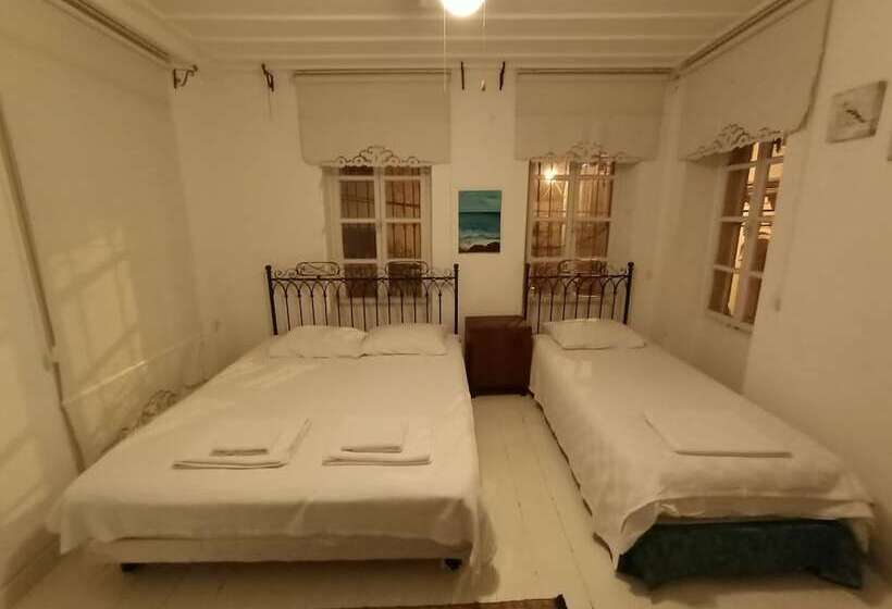 בית מלון כפרי Atilla Bey Konagi