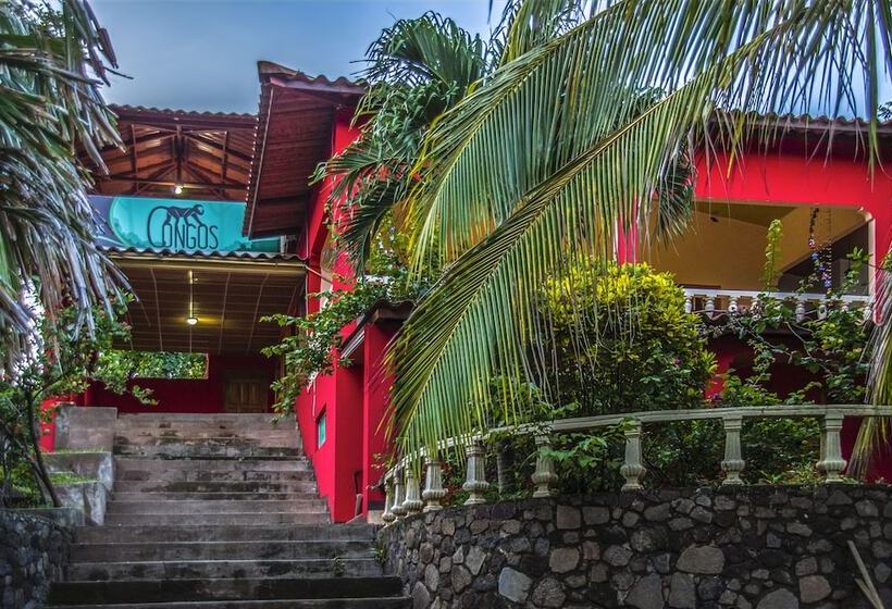 فندق Congos