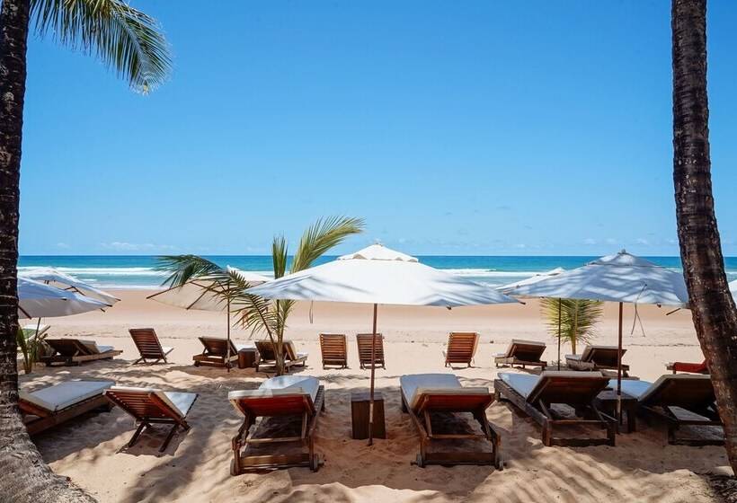 فندق Dreamland Bungalows   Taipú De Fora   Barra Grande