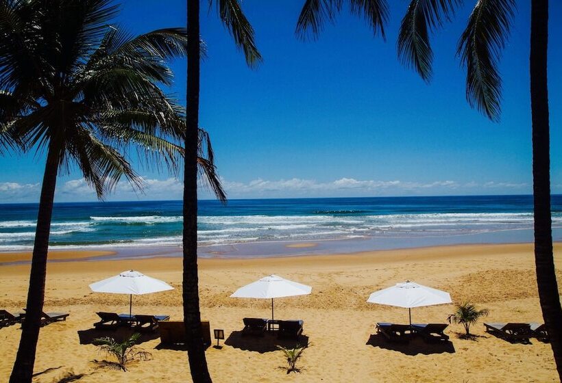 فندق Dreamland Bungalows   Taipú De Fora   Barra Grande