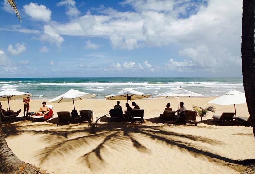 فندق Dreamland Bungalows   Taipú De Fora   Barra Grande