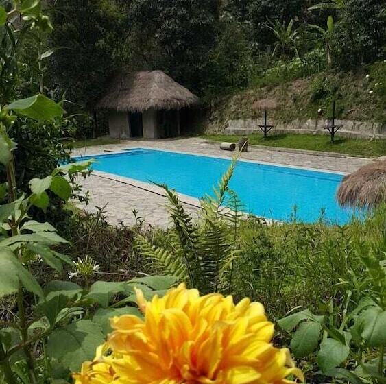 酒店 Eco Lodge Restaurant Araplay