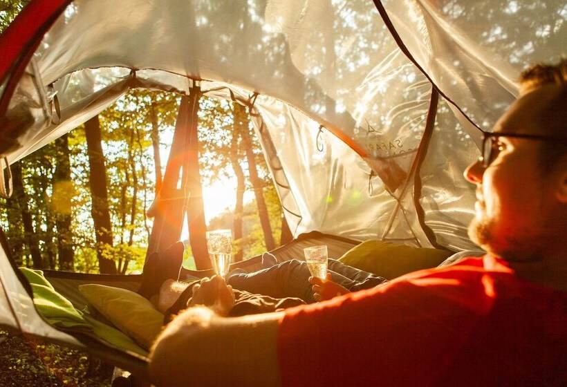 酒店 Eifeladventures