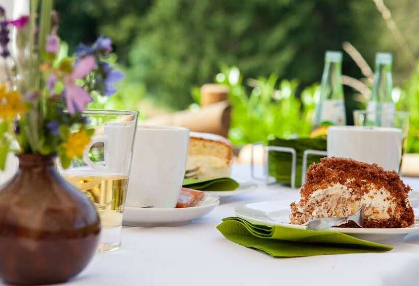 酒店 Eifeladventures