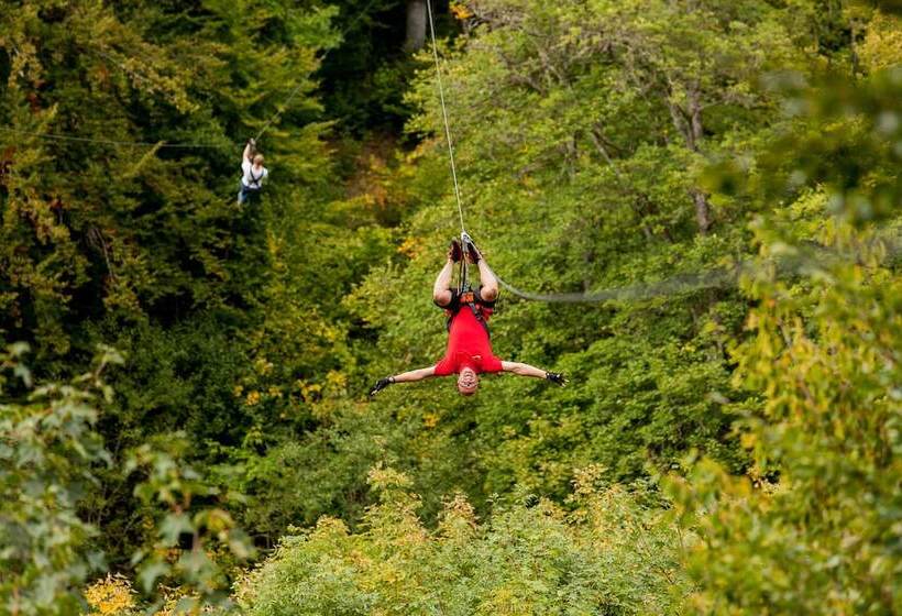 酒店 Eifeladventures