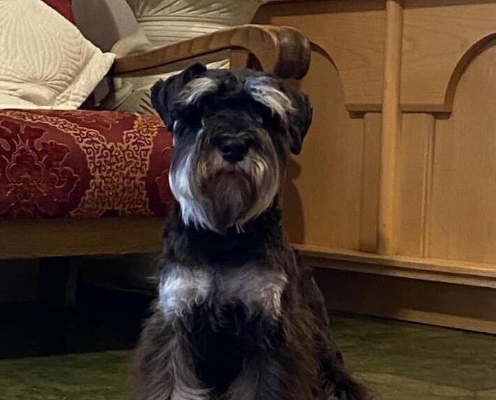 Dolomites Base Camp Hotel Olympia