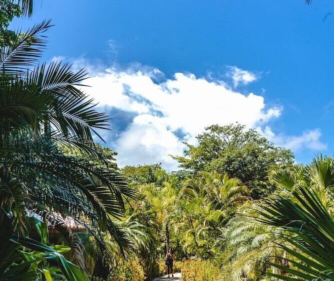 酒店 Playa Cielo Beach Front