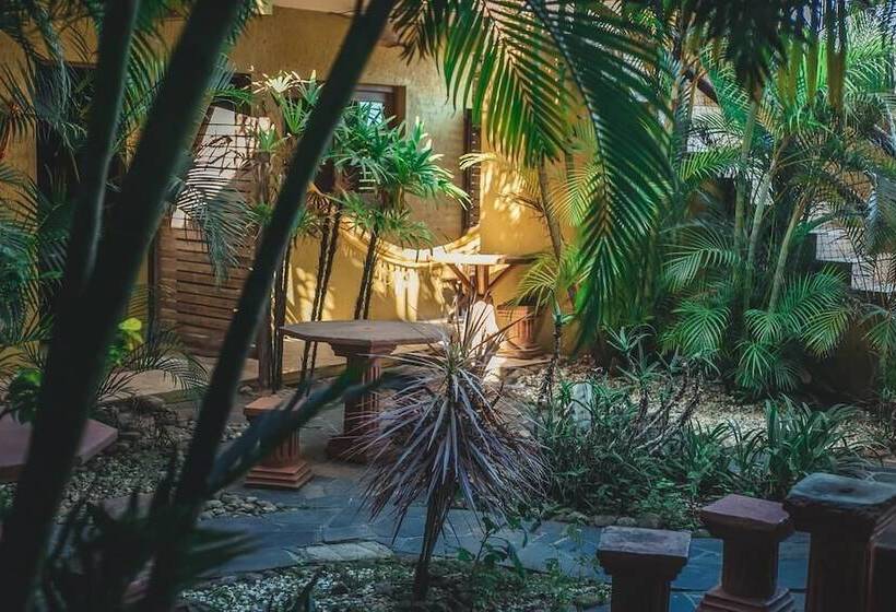 בית מלון כפרי Pousada Pé Na Areia