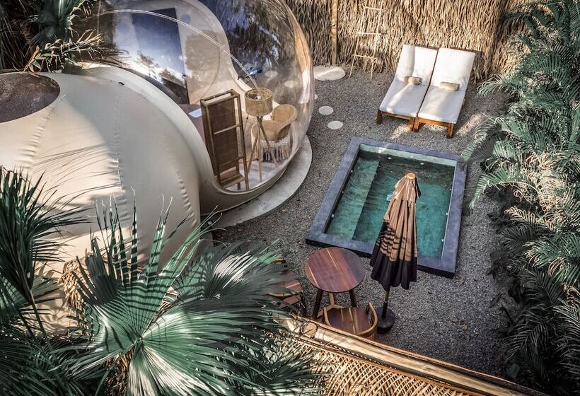 Отель Satori The Bubble Experience Lodge