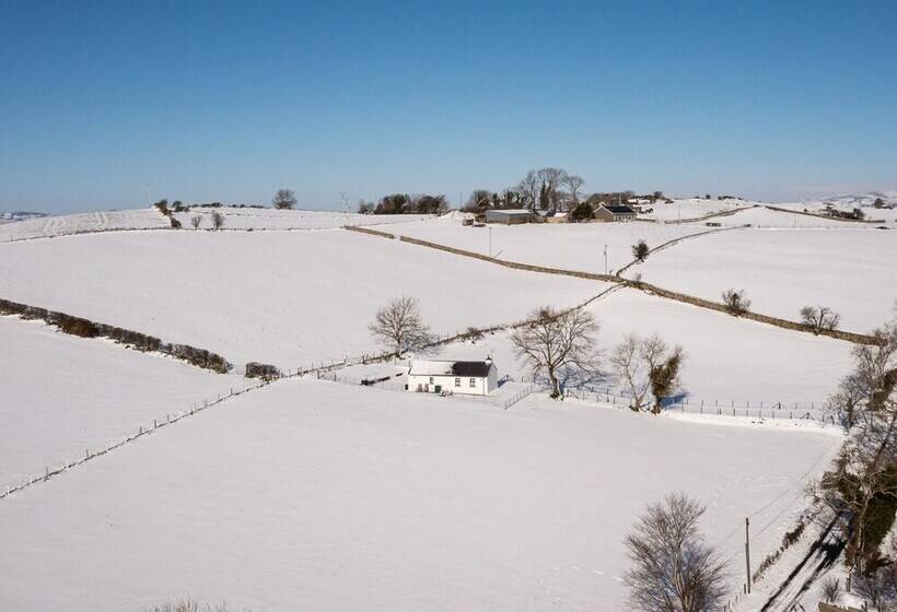 Lough Island Reavy Cottage