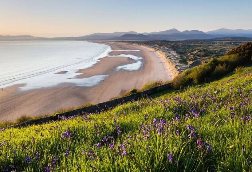 Moelwyn View Cottage
