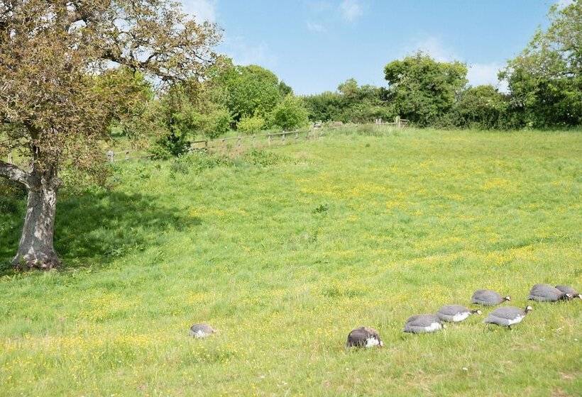 Newfield Farm Cottages