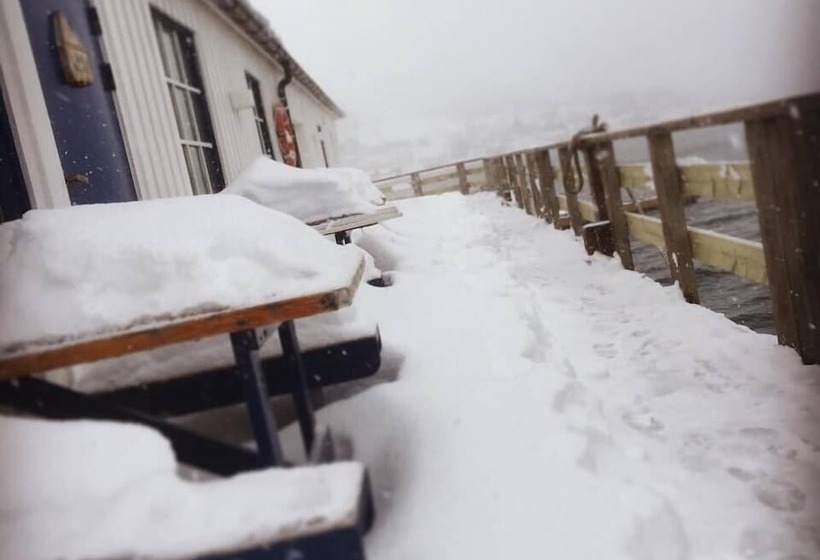 Northern Light Hotell Campsteinfjord