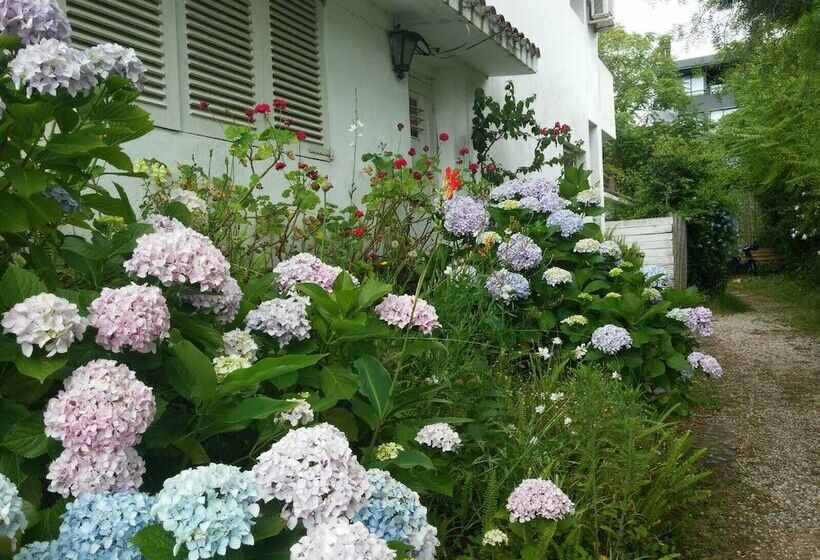 پانسیون La Lomita Del Chingolo