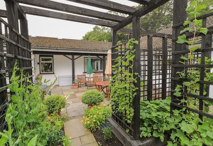 Quiet Waters Cottage