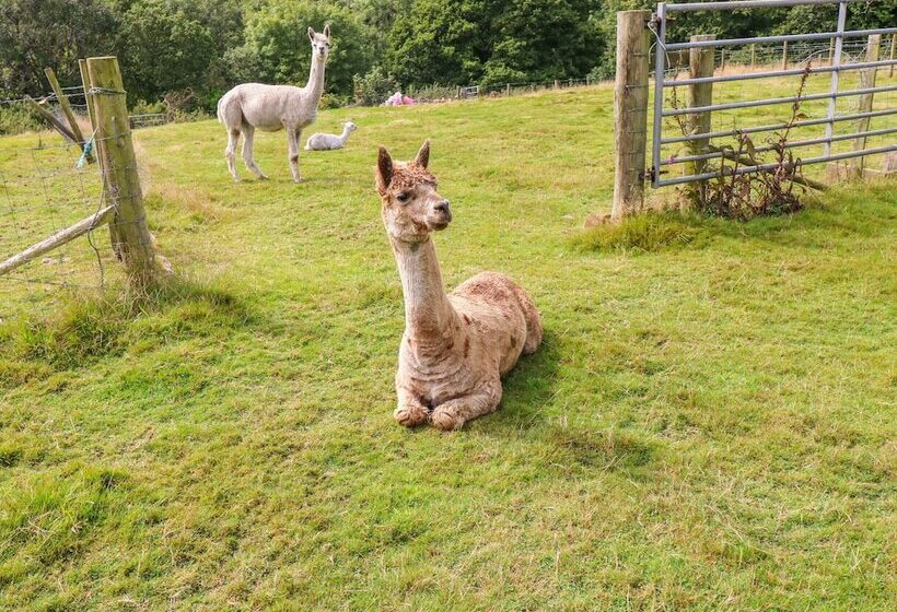 Shepherds Hut   The Crook