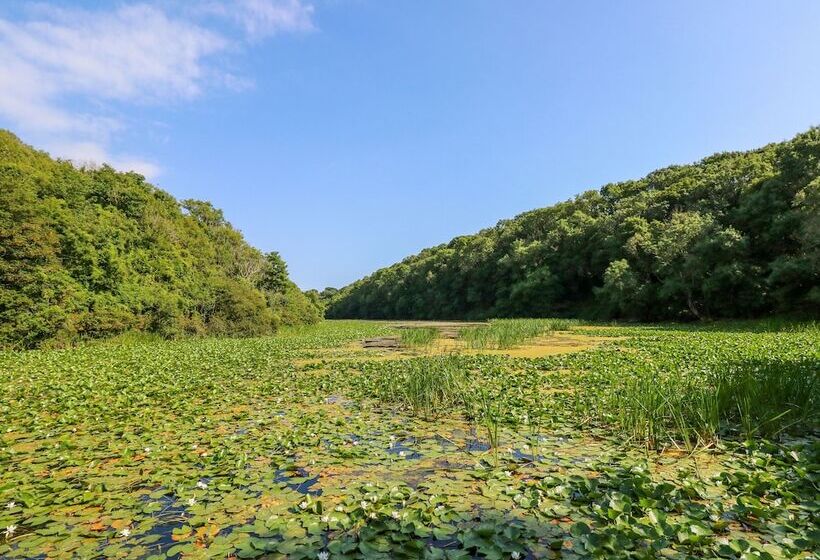 Shepherds Hut   The Crook