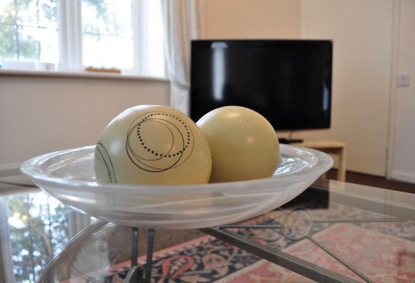 Somerville Coach House 1