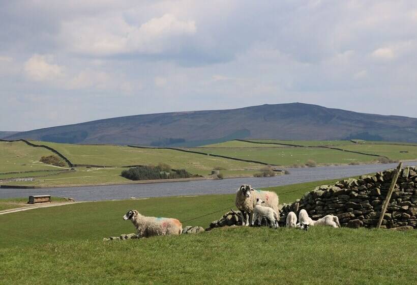 The Old Shippon Mews