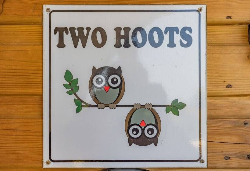 Two Hoots