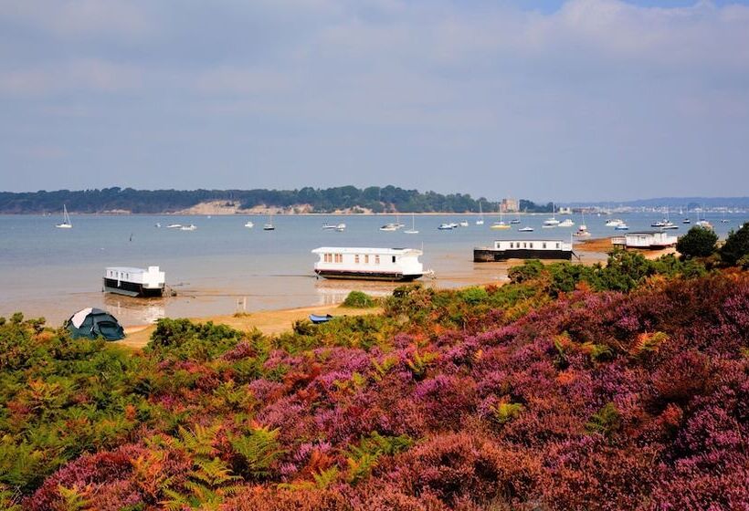 Westcliff Hideout