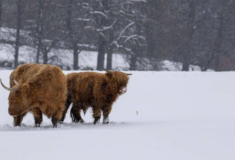 25 Langlands Terrace