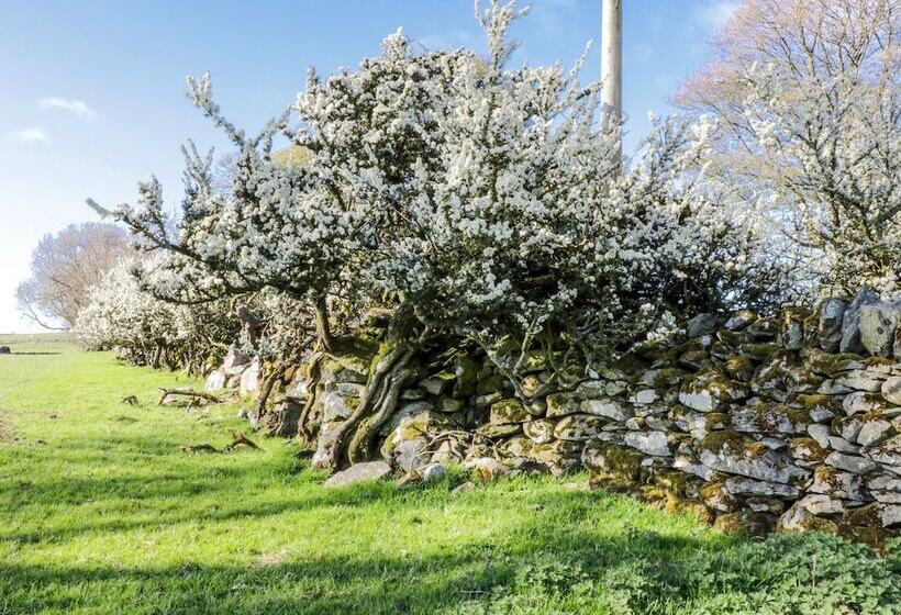 5 Ceirnioge Cottages