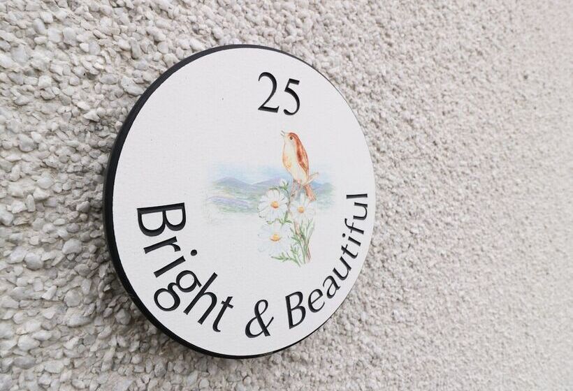 Bright And Beautiful