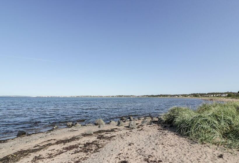 Bright And Beautiful