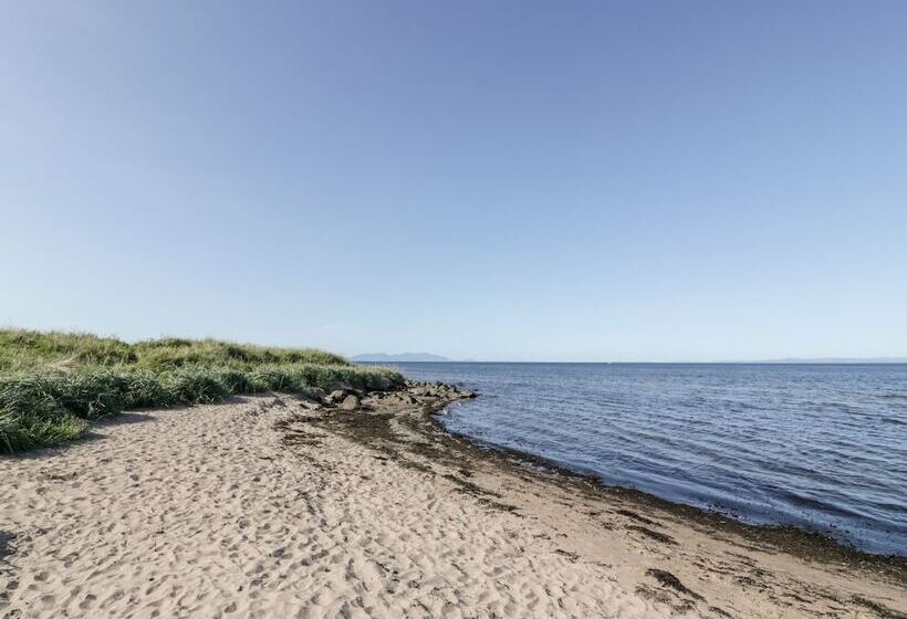 Bright And Beautiful