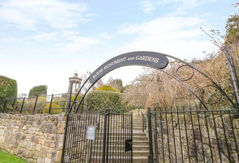 Bright And Beautiful