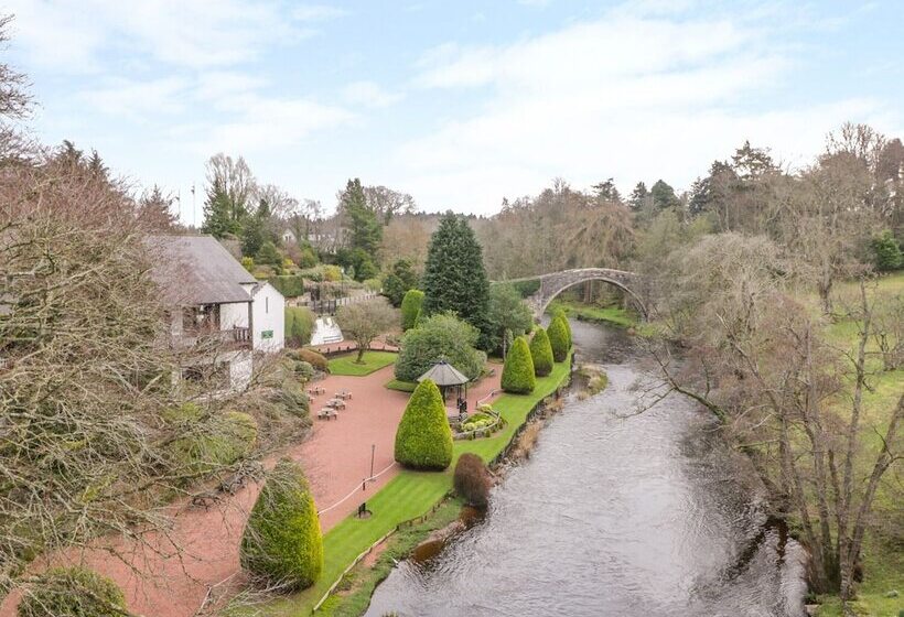 Bright And Beautiful