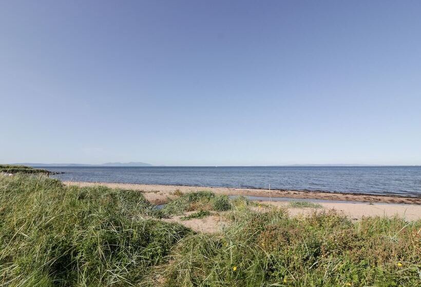 Bright And Beautiful