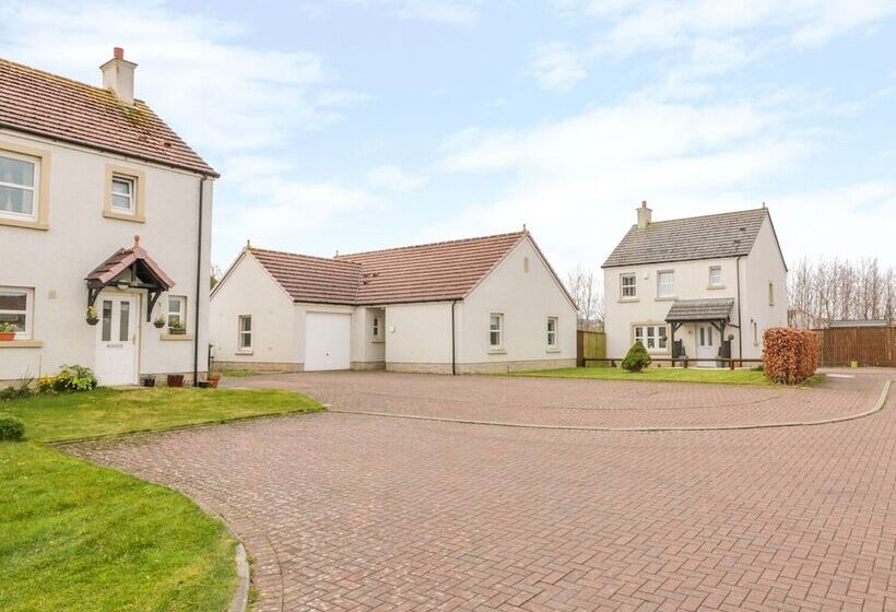 Bright And Beautiful